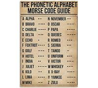 BCTS Cartel de metal con texto en inglés "Morse Code Pilot Poster Funny Decor de 30,5 x 40,6 cm