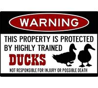 BCTS Cartel de metal divertido con texto "Protected By Ducks", 20,3 x 30,5 cm