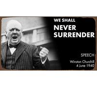 BCTS Placa de metal para pared con diseño de The Winston Churchill de 20,3 x 30,5 cm