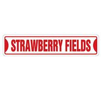 BCTS STRAWBERRY FIELDS - Señal de calle con texto en inglés "Canción británica", 4 x 16 pulgadas