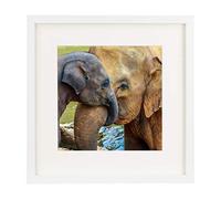 BD ART 28 x 28 cm Marco de Fotos Cuadrado con Paspartu 20 x 20 cm, Blanco