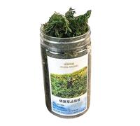 BDJXOZYH Cluster Grass Tufts - Dioramas en miniatura, modelo de hierba estática en miniatura para 1:35 verde, 10 x 5,5 cm