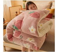 BDMFJY Edredón Nórdico, Invierno Colcha Suave y Borreguito Manta, Edredón Gruesa Suave Cálido Lecho, Microfibra Edredón Reversible Manta Cama 150/180/200/220 Invierno Cálido,A5,180x220m/4kg