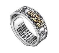 BDUBZ Anillos mantra Feng Shui PIXIU plata esterlina, anillo buena suerte y riqueza, anillo ajustable apertura, joyería budista tibetana