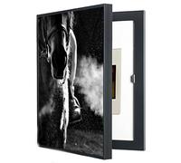 BDXZJ Cuadro Electrico Tapa Caja Decorativos Modernos Caja Medidor Interior Decorativo Cubrecontador Cubierta Panel Electrico Caja De Distribucion Tapa Decorativa M,50 * 60cm