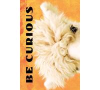 Be Curious- Alpaca Face: Funny Motivational Journal for Job & Life - The Perfect Inspirational Gift Notebook. (Eyes Wilde Open)