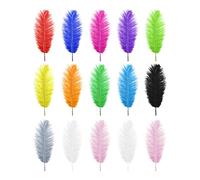 Be In Your Mind 15 Piezas Plumas de Avestruz Naturales Plumas de Colores Mezclados 25-30 Cm para Manualidades Diseño Artístico Atrapasueños Inodoros No Tóxicos Bodas Fiestas Decoración del Hogar