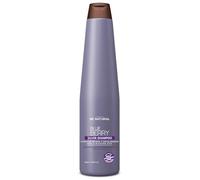 Be Natural Blueberry Silver, Champú para Cabellos Rubios y Decolorados, Translúcido, 350 mililitros