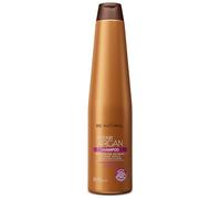 BE NATURAL. Repair Argan. Champú de Reparación para Cabellos Maltratados. Translúcido. Reparación extrema. Aceite de argán. Vitamina E. Contenido 350 ml.
