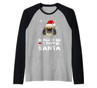 Be Nice To Me I Know Santa Pekingese Dog Funny Christmas Xma Camiseta Manga Raglan