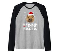 Be Nice To Me I Know Santa Shar Pei Dog Christmas Xmas Camiseta Manga Raglan