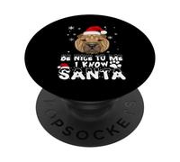 Be Nice To Me I Know Santa Shar Pei Dog Christmas Xmas PopSockets PopGrip Adhesivo