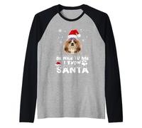 Be Nice To Me I Know Santa Shih Tzu Dog Christmas Xmas Camiseta Manga Raglan