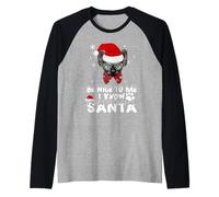Be Nice To Me I Know Santa Sphynx Cat Christmas Camiseta Manga Raglan