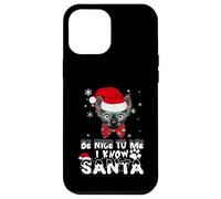 Be Nice To Me I Know Santa Sphynx Cat Christmas Carcasa para iPhone 12 Pro MAX