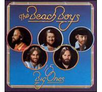 Beach Boys - 15 Big Ones