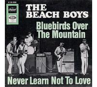 Beach Boys, The - Beach Boys, The: Bluebirds Over The Mountain / Never Learn Not To Love