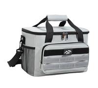 Beach Cooler, Insulated Lunch Box, Lightweight Waterproof Design, 11.81x8.27x7.28 Inches, with Handle Multi-Compartment Storage, Portable Compact Ideal for Camping and Picnic Use