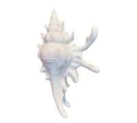 Beach Hair Clip, Seashell Claw Hair Accessory, Anti Slip Acrylic Hairpin for Women Styling Tool for Summer Vacation Wedding Party Shower Swimming Everyday Decoration Fashion Use 13x7.5cm