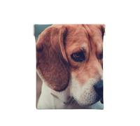 Beagle Cachorro Perros Mascotas Beagle, Squeeze Top Wallet Bolsa de Almacenamiento para Mujer Monedero pequeño Bolsa de Cambio