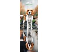 Beagle - Calendario delgado 2027