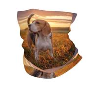 Beagle Césped Perros En Un Paseo Mascotas Perros Atardecer, Bandana, Polaina para el Cuello, Cubierta Suave para la Cara, Calentador de Cuello, Tubo, Media mascarilla, Bufanda, pasamontañas