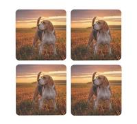 Beagle Césped Perros En Un Paseo Mascotas Perros Atardecer,Posavasos Cuadrados de Corcho MDF, Almohadilla para Tazas, Juego de 4 Posavasos para Bebidas
