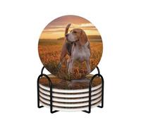 Beagle Césped Perros en un Paseo Mascotas Perros Atardecer,Posavasos Redondos de cerámica, Almohadilla para Tazas, Juego de 6 Posavasos para Bebidas