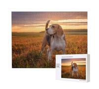 Beagle Césped Perros en un Paseo Mascotas Perros Atardecer,Rompecabezas de Madera de 500 Piezas, Juego Familiar, Rompecabezas para Adultos, Adolescentes, decoración del hogar