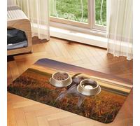 Beagle Césped Perros en un Paseo Mascotas Perros Atardecer,Tapete para Comida de Mascotas, manteles Individuales de Cuero sintético para Gatos y Perros,40x60cm