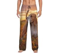 Beagle Lawn Dogs On A Walk Pets Dogs Sunset Pijamas Pantalones suaves Pantalones cómodos para dormir Casual Lounge con bolsillos, Negro, S