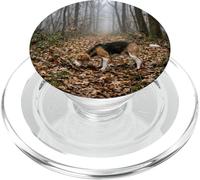 Beagle Tracking Bosque Trail Niebla Bosque Escena PopSockets PopGrip para MagSafe