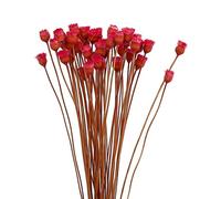 BEAHING Ramo de Flores secas, 50 Tallos de Margaritas secas Naturales para decoración del hogar (Rojo)