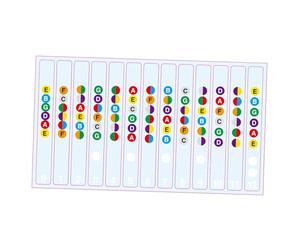BEALIFE Pegatinas para guitarra con nombres de tonos claros | Practica escalas y mejora tus habilidades | Mejora tu aprendizaje. Pegatina para diapasón de bajo electroacústico.