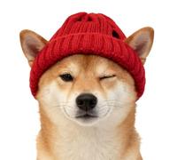 Beanie Hat - Wool, 14.17-19.68in Head Cover Knit Cat Hat Warm Winter Cap | Soft & Pet Hats Cute Outdoor Wear, Dog & Cat Winter Headwear for Walking, Camping, Travel, Parties