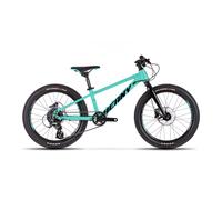 Beany Blaster XC 20 Mint Bicicleta infantil