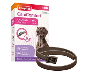 Beaphar Collar calmante CaniComfort para Perros Adultos (hasta 65 cm), Proporciona Apoyo Continuo a Perros ansiosos y nerviosos, Comienza a Trabajar en 15 Minutos, Ayuda a aliviar el Miedo a los