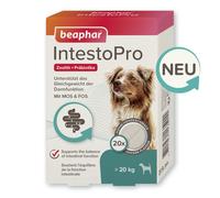 Beaphar Intestopro Cápsula para Perros Grandes Durchfall a Través De