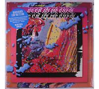 Bear in Heaven - I Love You It's Cool [Vinilo]