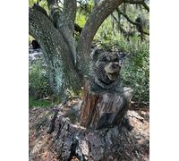 Bear Out of A Tree Gratitude Journal: 8.5 X 11 large 100 pages lined notebook nature scene bear carved out of oak tree