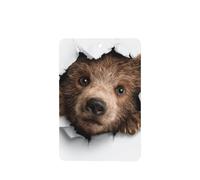 Bear Peeking Out Of A Hole - Ambientadores para coche, 4 unidades, tarjetas perfumadas colgantes, tarjetas perfumadas para coche, tabletas de aromaterapia