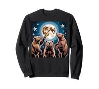Bear Stuff Bears Jersey para hombre y mujer Moon Bear Lovers Sudadera