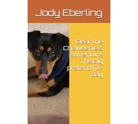 Bear the Cheweenie's adventure The Big pretend fix-day