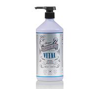 Beardburys Vital Shampoo | Champú Anticaspa Sin Parabenos Profesional, Elimina la Descamación, Los Picores y la Grasa, Con Menta y Aloe Vera