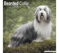 Bearded Collie 2025 Square Wall Calendar | Dog Breed Calendar