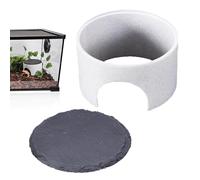 Bearded Dragon Hide, Basking Hide Cave, 4,13 x 4,13 x 2,56 pulgadas, Printed Beard Dragons, Climbing Hiding, Reptile Basking Rock for Lizards and Turtles (Multi)