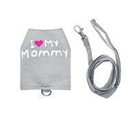 Bearded Dragon- Lizard Traction Rope 11.5cm | Pet Leashes, Breathable Luminous Canvas Adjustable Clothing Supplies,Bearded Dragon Outfits For Camping, Outdoor Night, Travel, Transportation Daily Shop