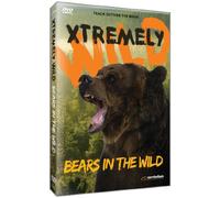 Bears in the Wild [USA] [DVD]