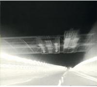 Bearzatti, Francesco - Virus