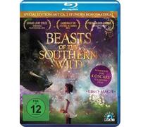 Beasts of the Southern Wild (Blu-ray)